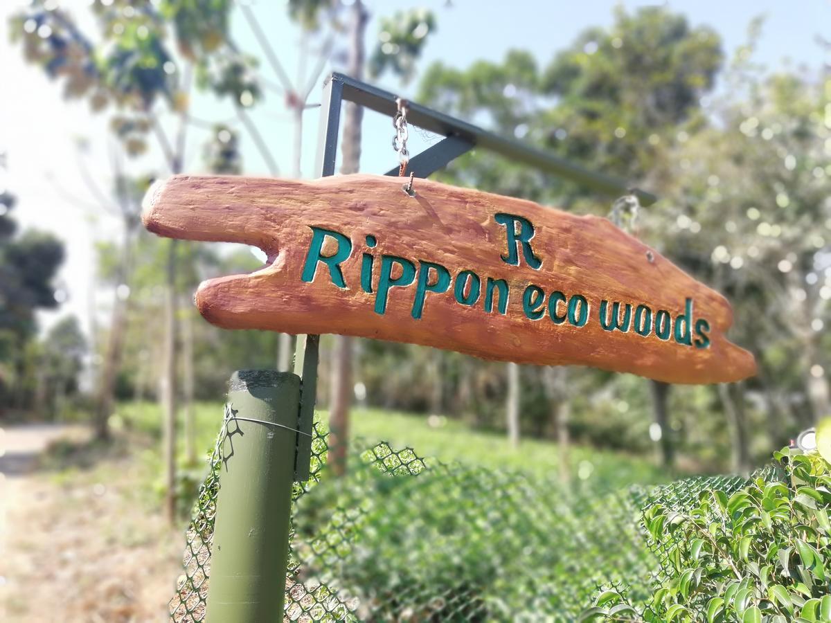 Вилла Rippon Eco Woods Калпетта Экстерьер фото