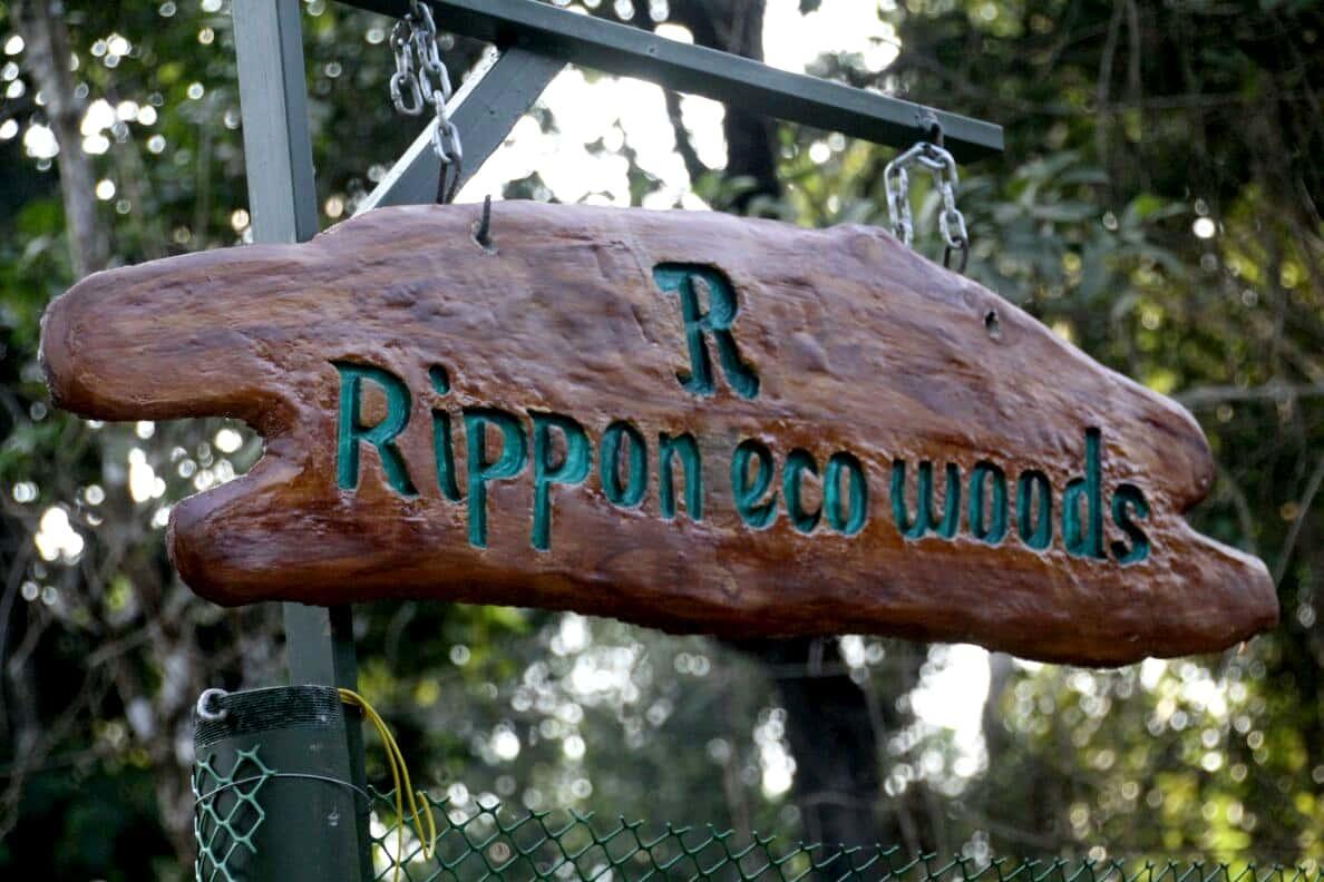 Вилла Rippon Eco Woods Калпетта Экстерьер фото